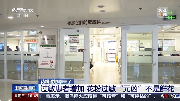 “一把鼻涕一把泪” 花粉过敏可以根治吗?预防指南 “一把鼻涕一把泪” 花粉过敏可以根治吗?预防指南