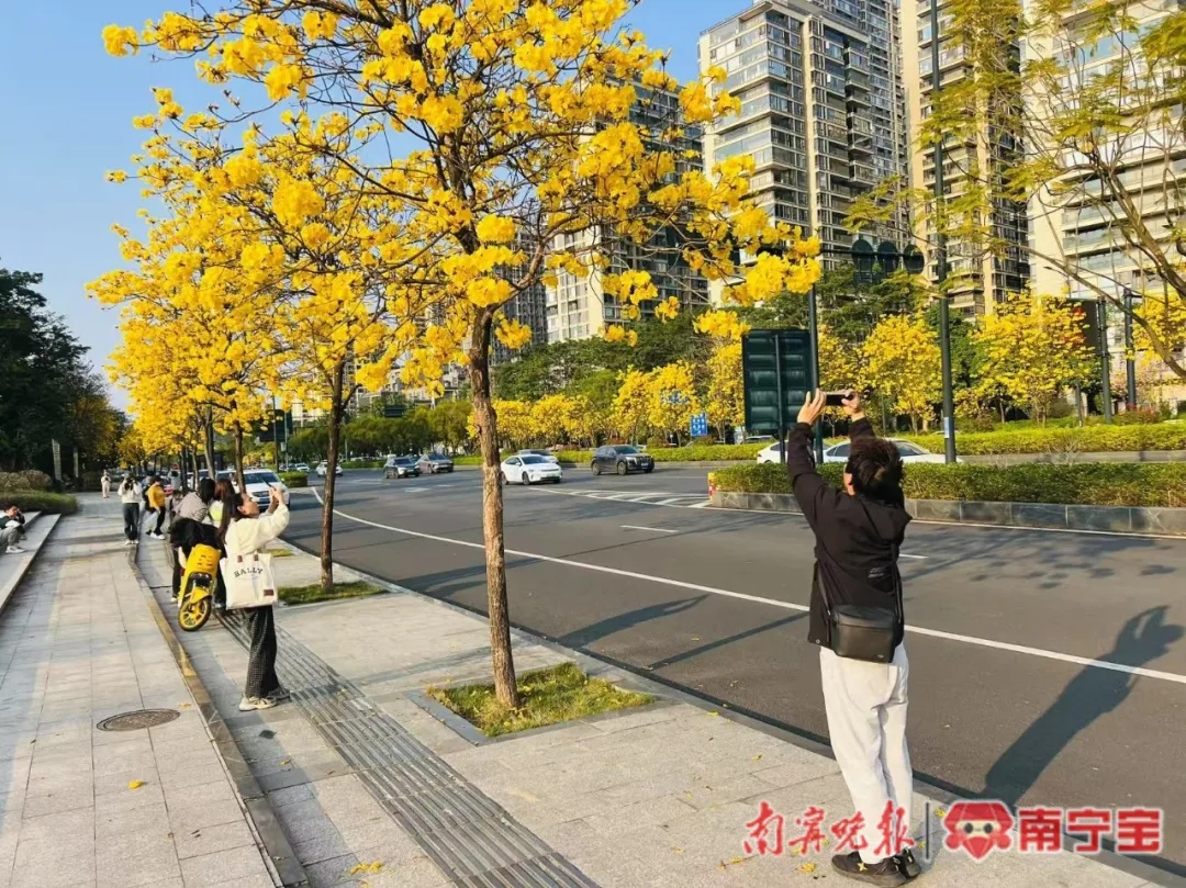 广西一地降下罕见春雪！未来几天天气是……