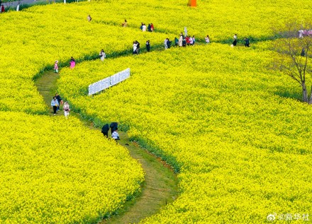 收藏！神州大地处处烂漫春景
