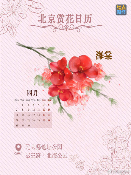 北京春夏处处皆花海