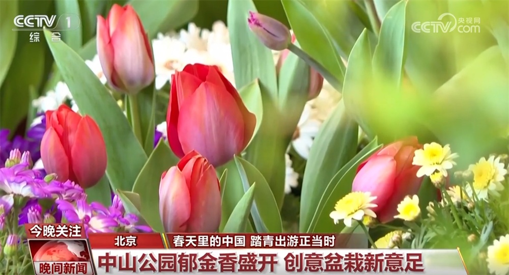 万象“耕”新、邂逅春光、消费升温、植树添绿 &nbsp;春天里的中国活力满满