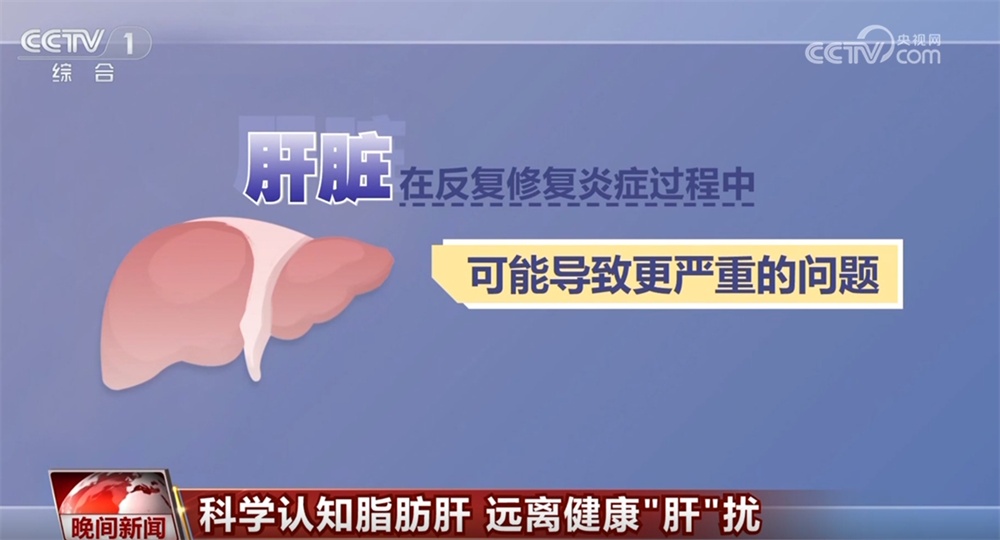 如何科学认知脂肪肝？远离健康“肝”扰 一文快速了解