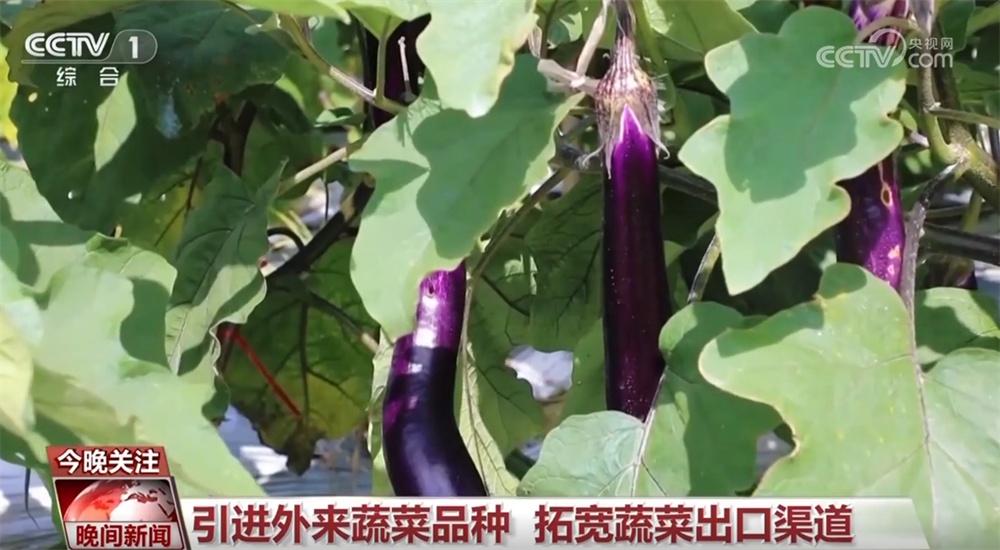 万象“耕”新、邂逅春光、消费升温、植树添绿 &nbsp;春天里的中国活力满满