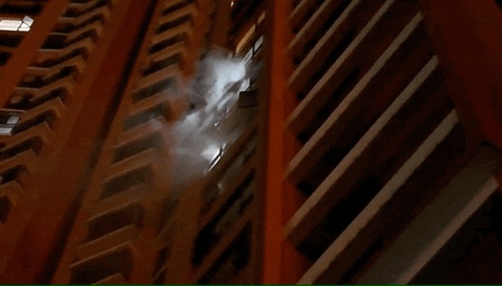 这届“小孩哥”“小孩姐”有点太强了！一起来夸夸这些可爱的孩子们