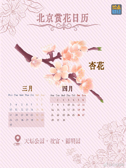 北京春夏处处皆花海