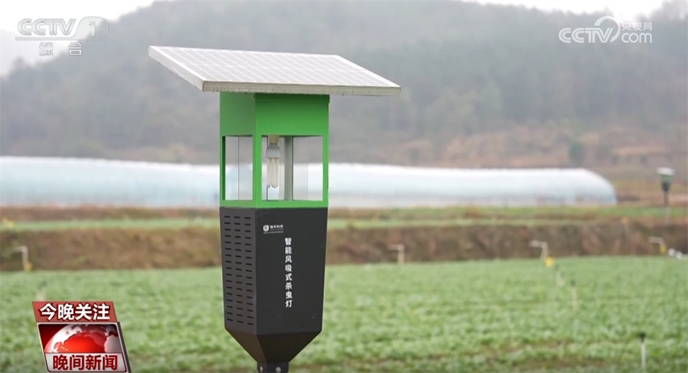 万象“耕”新、邂逅春光、消费升温、植树添绿 &nbsp;春天里的中国活力满满