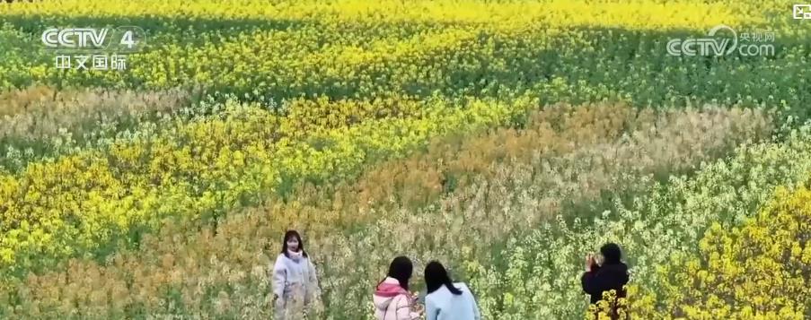 尝春鲜、赏春花 春季场景式消费带动“春日经济”持续升温