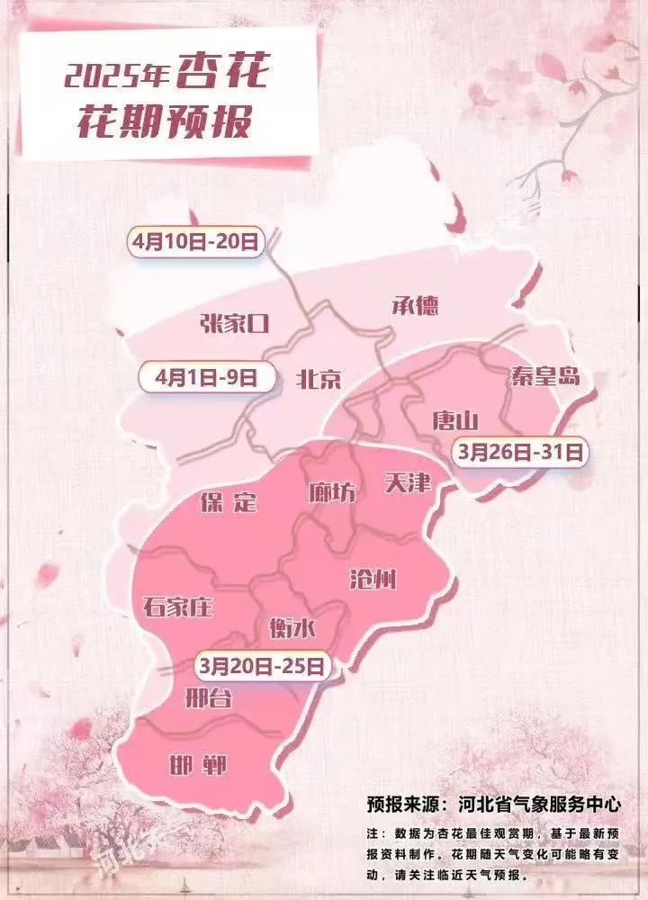 花期提前?如何邂逅最美花景?用气象数据探花开秘密! 花期提前?如何邂逅最美花景?用气象数据探花开秘密!