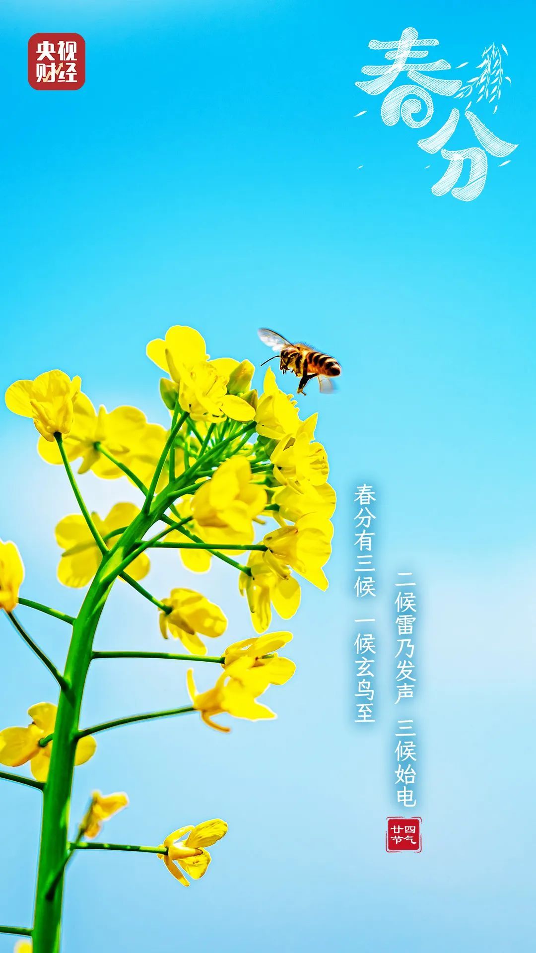 春分至!做好这3件事,让身体更健康→ 春分至!做好这3件事,让身体更健康→