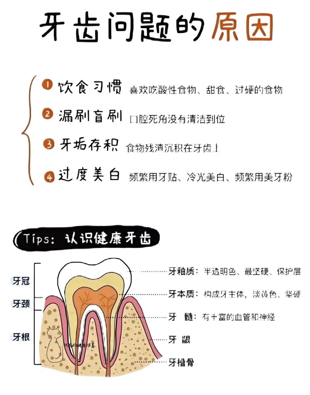 今天起，刷牙请调整一下！