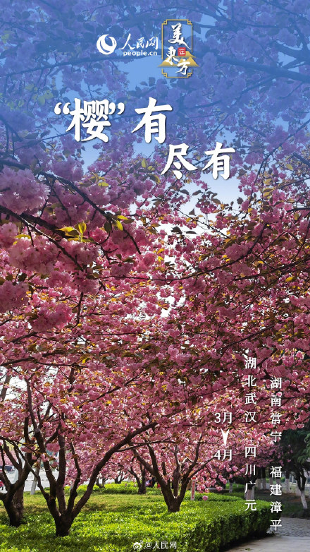 一波春日花花祝福请查收