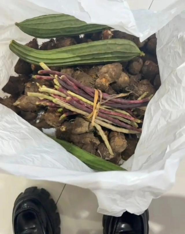 “那个你帮过的老爷爷，又来送菜了……”