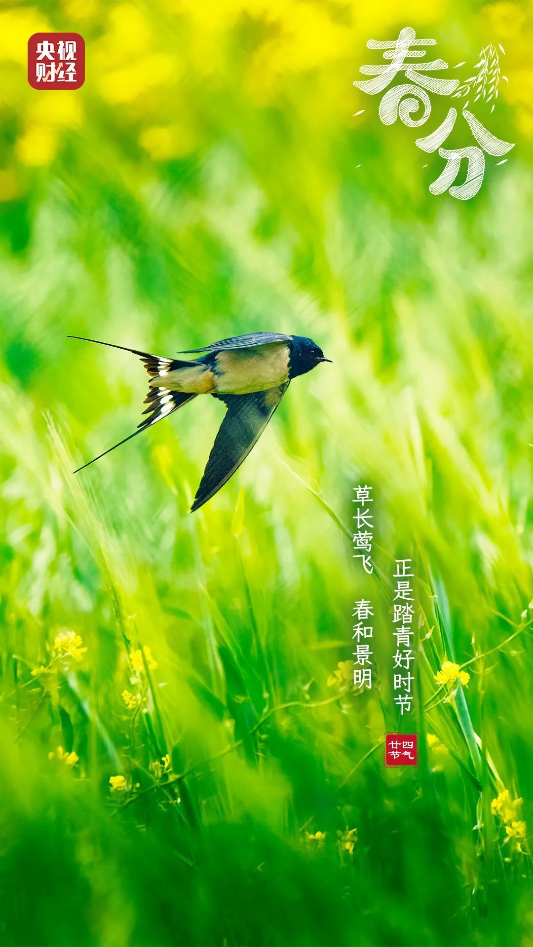 春分至!做好这3件事,让身体更健康→ 春分至!做好这3件事,让身体更健康→