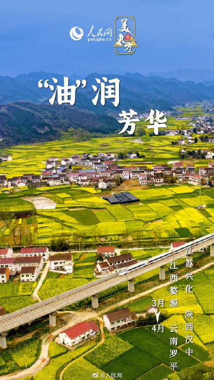 一波春日花花祝福请查收