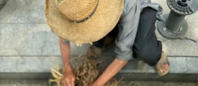 “那个你帮过的老爷爷，又来送菜了……”