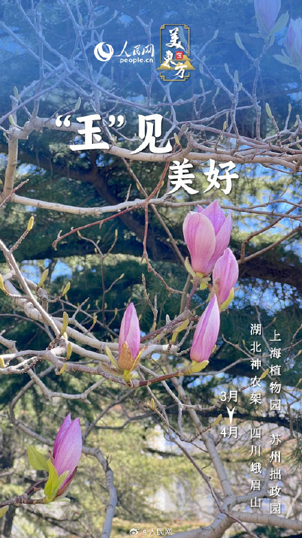 一波春日花花祝福请查收