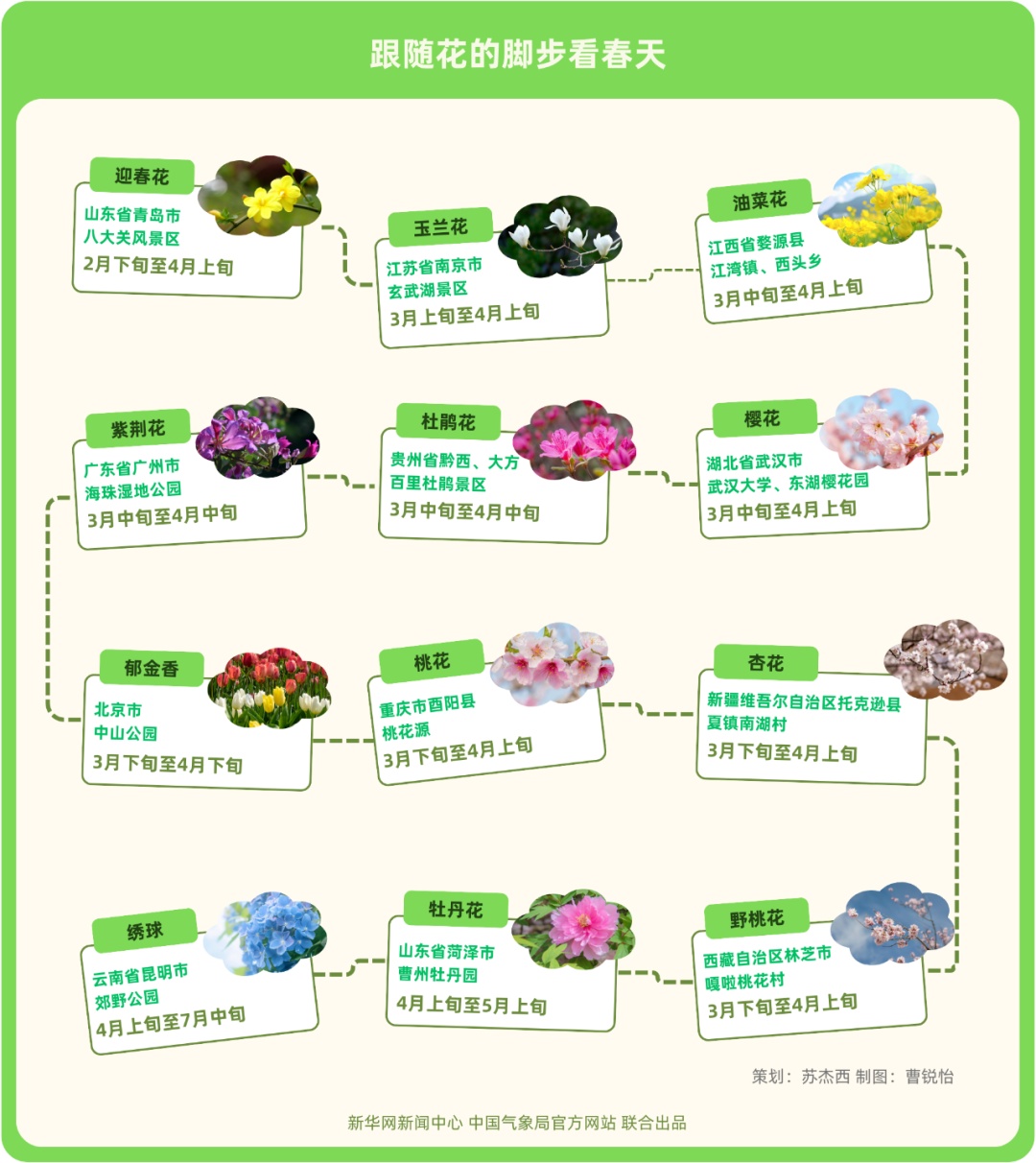 花期提前?如何邂逅最美花景?用气象数据探花开秘密! 花期提前?如何邂逅最美花景?用气象数据探花开秘密!