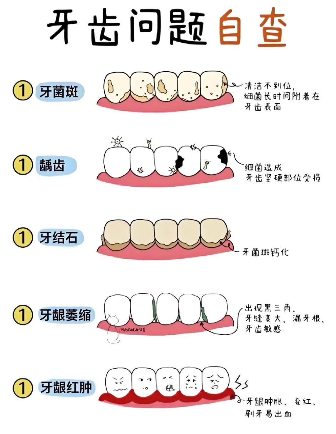 今天起，刷牙请调整一下！