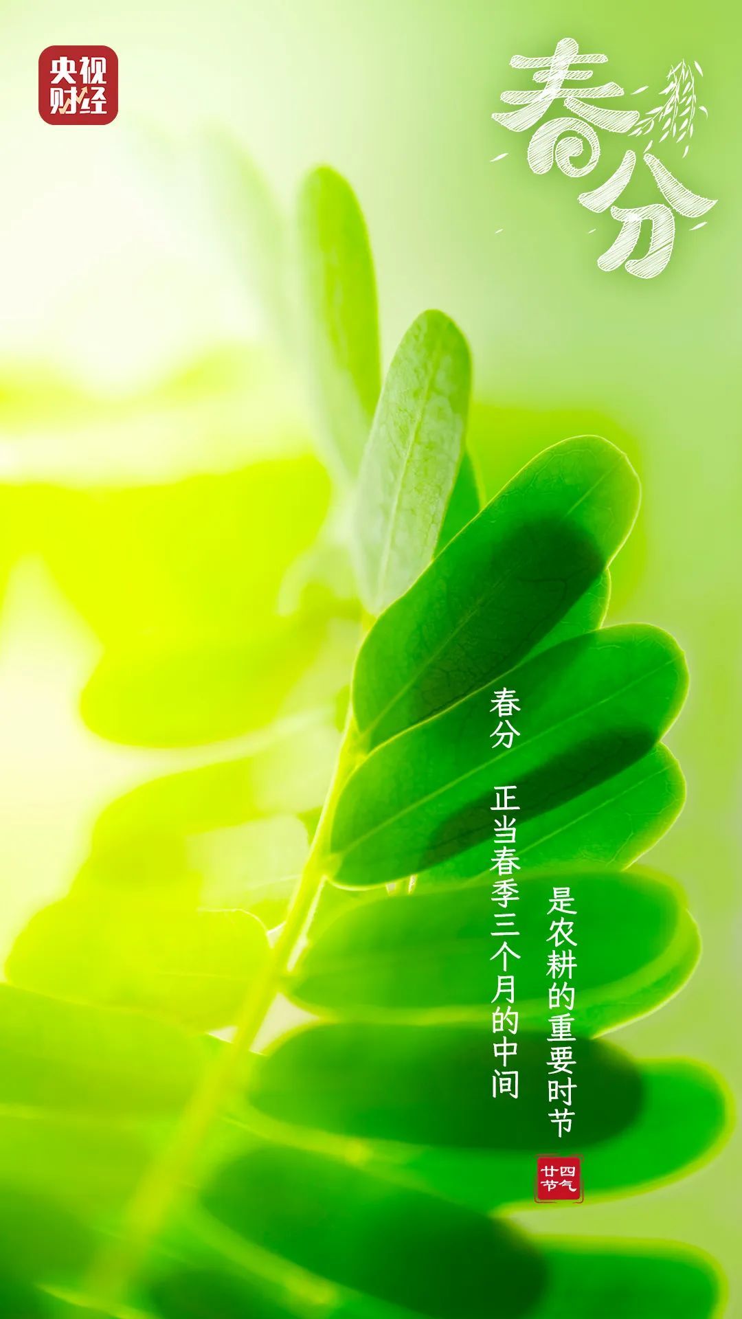 春分至!做好这3件事,让身体更健康→ 春分至!做好这3件事,让身体更健康→