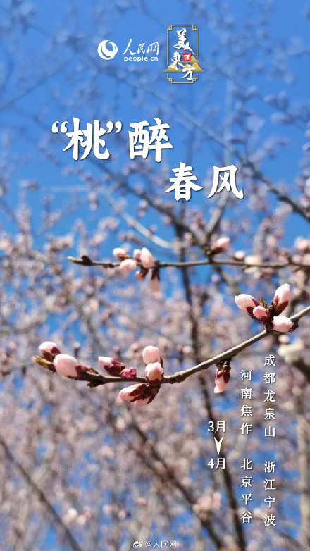 一波春日花花祝福请查收