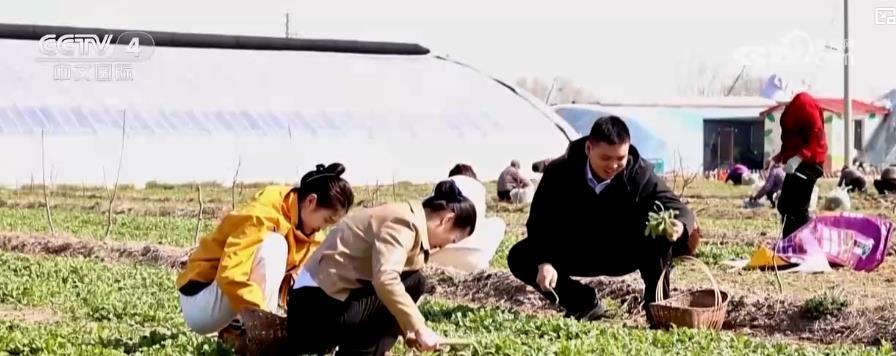 尝春鲜、赏春花 春季场景式消费带动“春日经济”持续升温