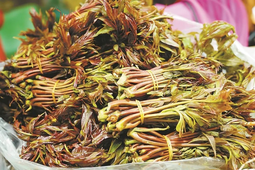 春花和春菜,快到我的碗里来! 春花和春菜,快到我的碗里来!