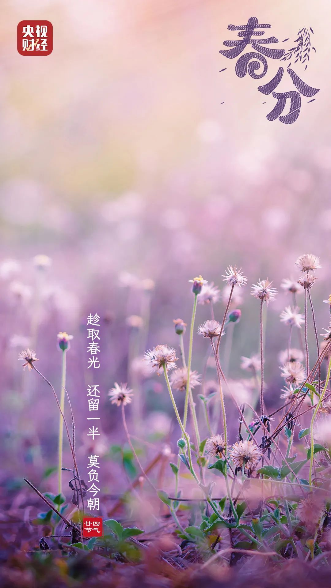 春分至!做好这3件事,让身体更健康→ 春分至!做好这3件事,让身体更健康→