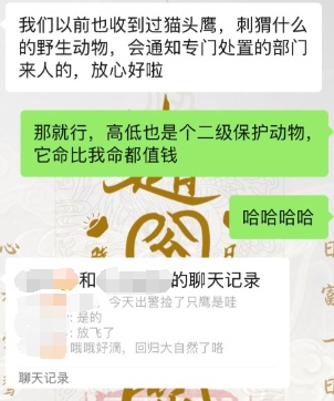 市民家玻璃突遭猛禽撞击，专家：系国家二级保护动物