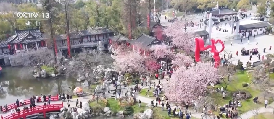 入境免签“牵手”追花游 文旅市场春意盎然释放多“彩”活力