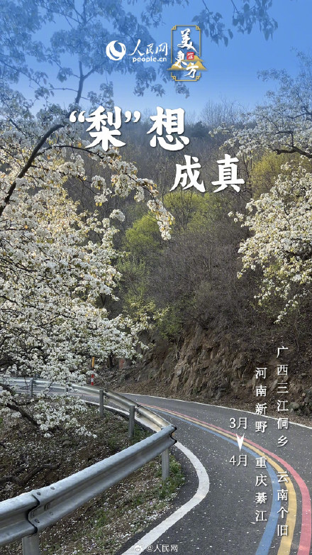 一波春日花花祝福请查收