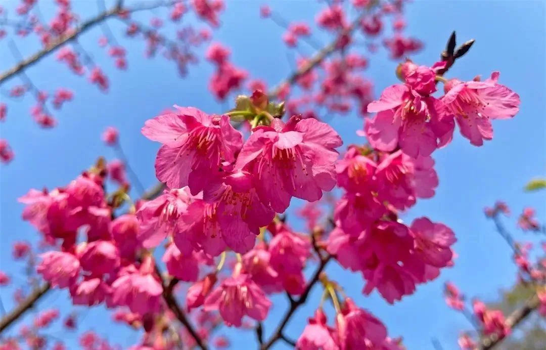 浙江气温直冲34℃!连晴大升温后,冷空气要来 浙江气温直冲34℃!连晴大升温后,冷空气要来