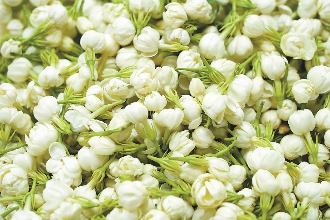 春花和春菜,快到我的碗里来! 春花和春菜,快到我的碗里来!