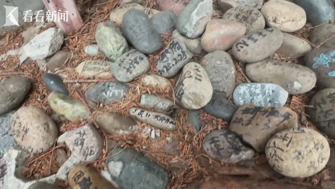 多位顶流明星被波及!上海市民崩溃:都到我家门口了…… 多位顶流明星被波及!上海市民崩溃:都到我家门口了……