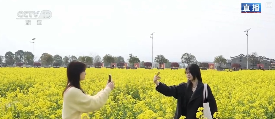 文化中国行 | 春分赶分社 千年农耕文明活态传承