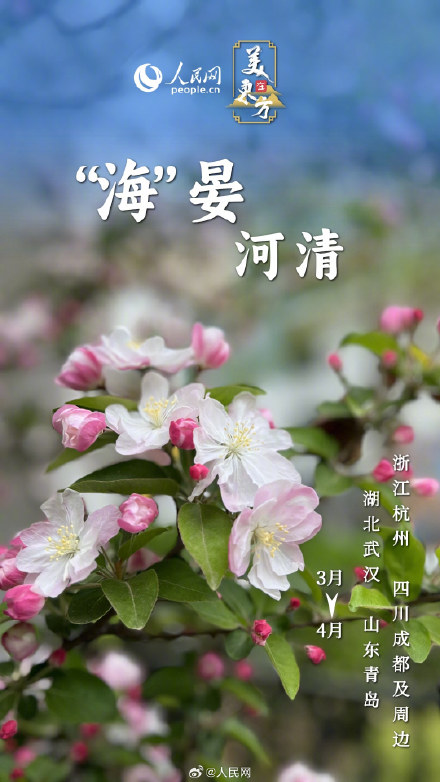 一波春日花花祝福请查收