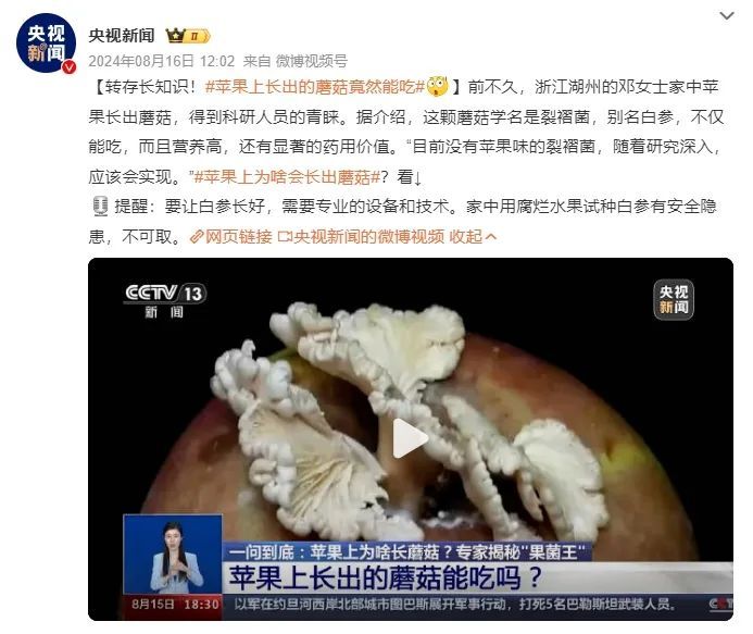 突然火了！有人卖500元一个，网友：家里刚扔了一箱