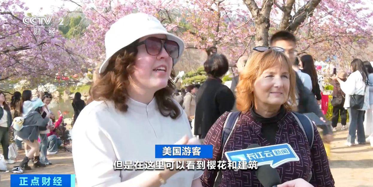 武汉樱花季入境游火了！免签入境外国人暴增近160%