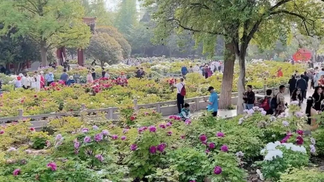 热！河南高温要来了！郑州最高32℃