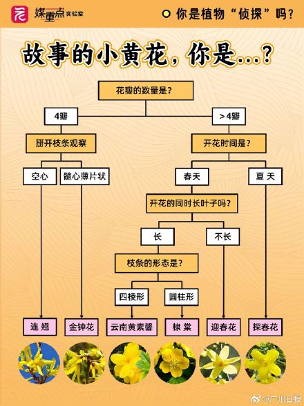 码住！一组图教你区分“撞脸”花花