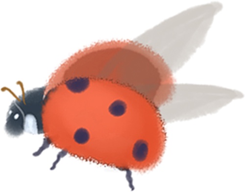 春分养生，牢记“三忌三宜”！