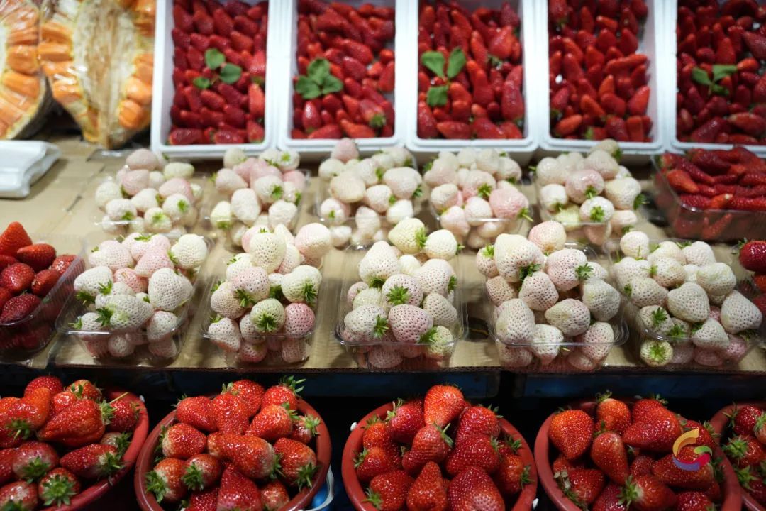 降了,还会降!“莓莓组合”正大量上市,炫→ 降了,还会降!“莓莓组合”正大量上市,炫→