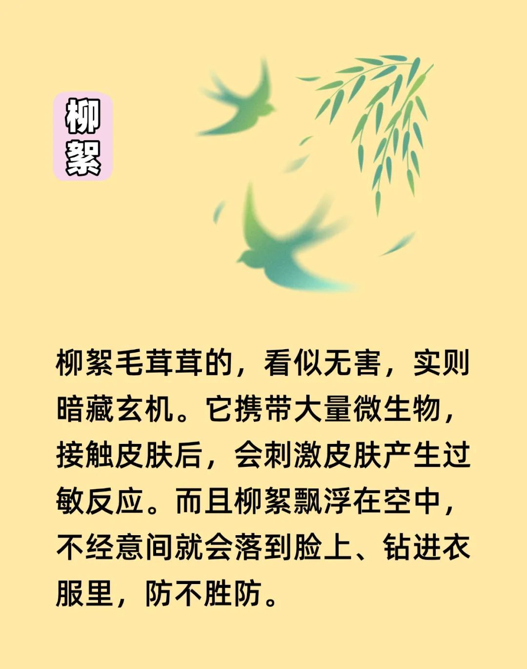 春季过敏来袭，抗敏人必存：皮肤科医生开出的防过敏指南~