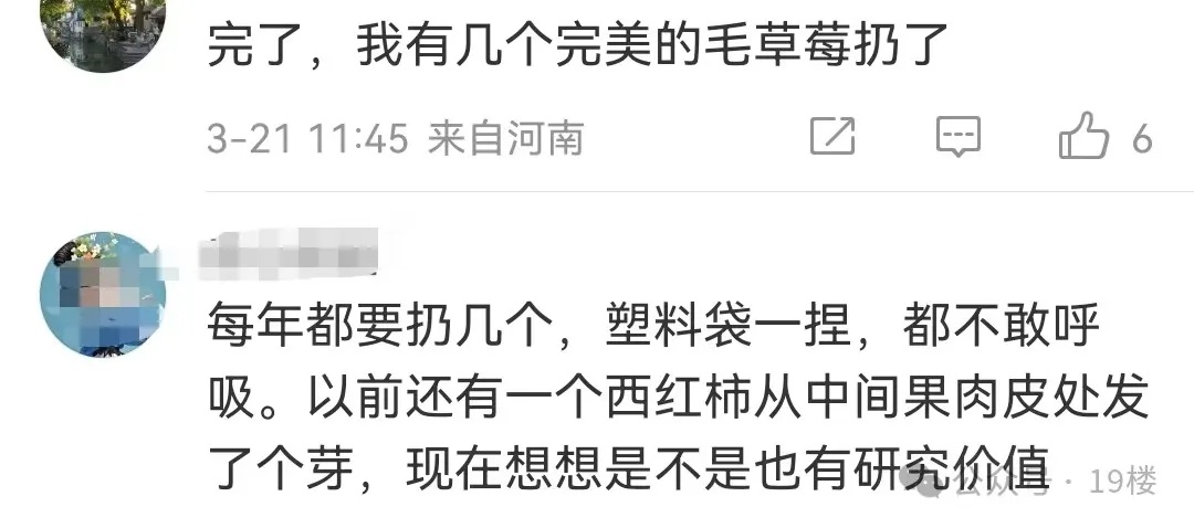 突然火了！有人卖500元一个，网友：家里刚扔了一箱