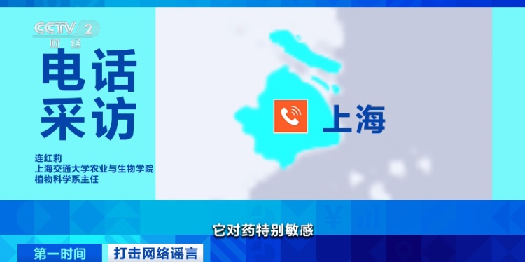 网传“草莓农药残留量大”,出现“草莓瘟”?!真相竟是…… 网传“草莓农药残留量大”,出现“草莓瘟”?!真相竟是……