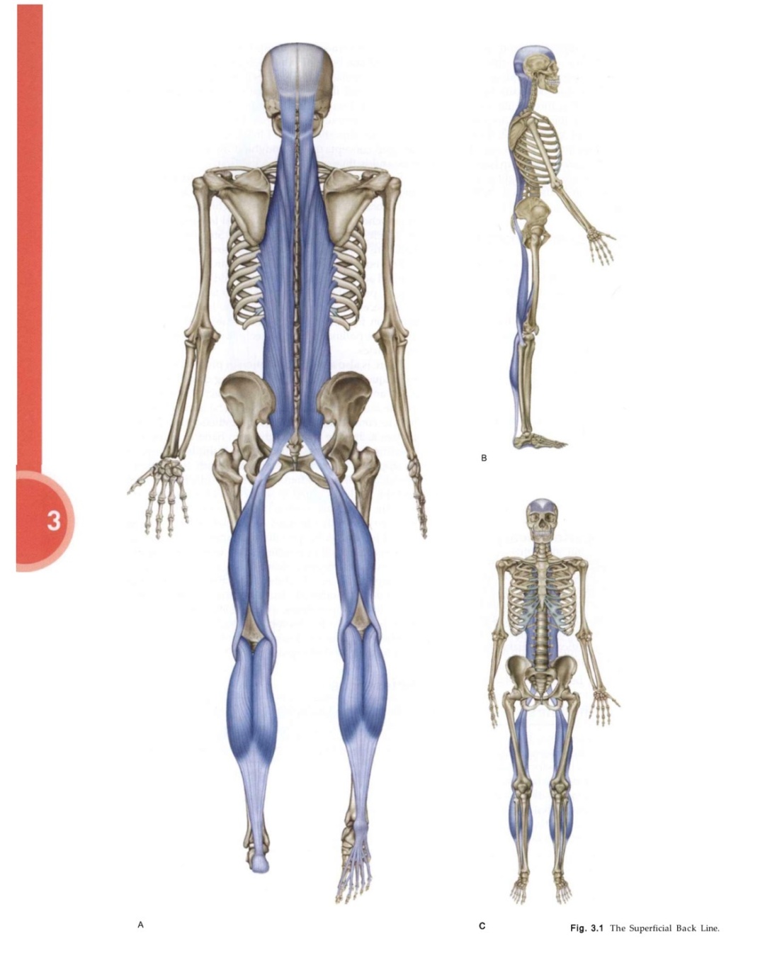 低成本抗衰,强烈推荐这个小技巧!在家就能做 低成本抗衰,强烈推荐这个小技巧!在家就能做
