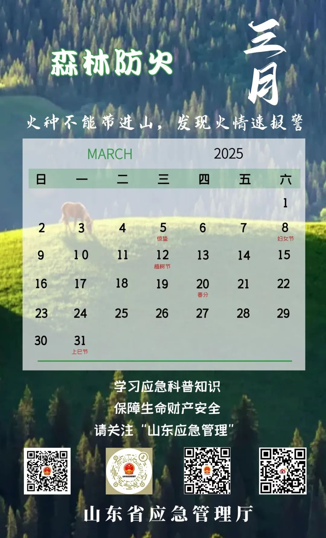 最高气温26℃，雷雨+9级大风！山东最新天气预报