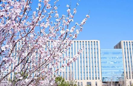 美!校园春日限定景致浪漫来袭 美!校园春日限定景致浪漫来袭