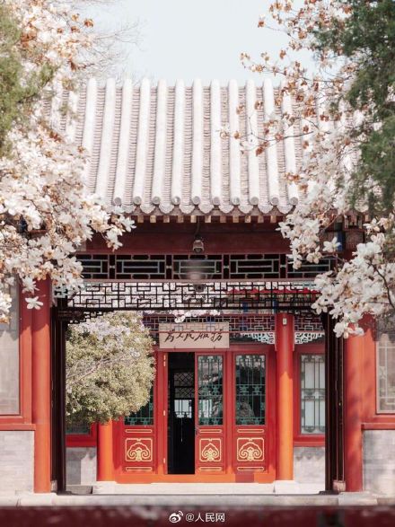 美!校园春日限定景致浪漫来袭 美!校园春日限定景致浪漫来袭