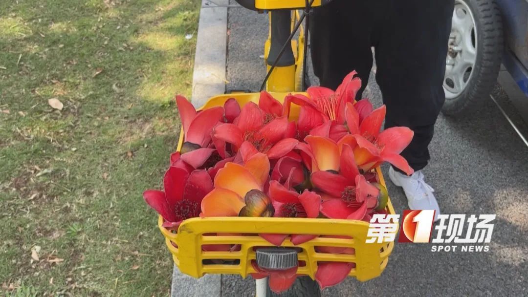 @深圳人,这个东西千万别捡了! @深圳人,这个东西千万别捡了!