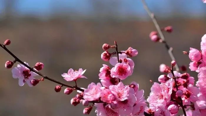 热!济南下周将冲击30℃!但…… 热!济南下周将冲击30℃!但……